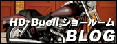 �ЂƂ育��
������� ���i�Z�I�[�g HD�Buell�V���[���[���̃u���O