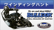 BUELL 2010 WINDING HUNT